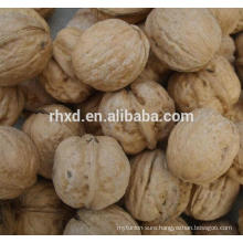 wholesale prices of walnuts unshelled